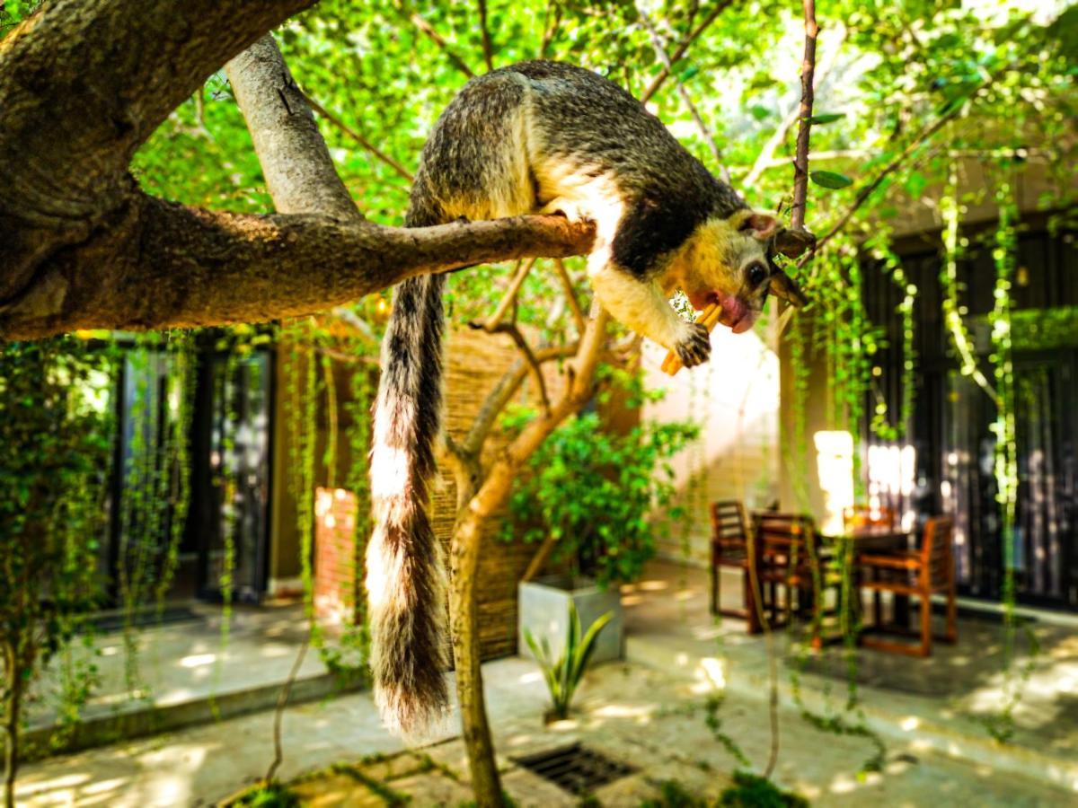 Isi Arana Eco Villa 阿努拉德普勒 外观 照片